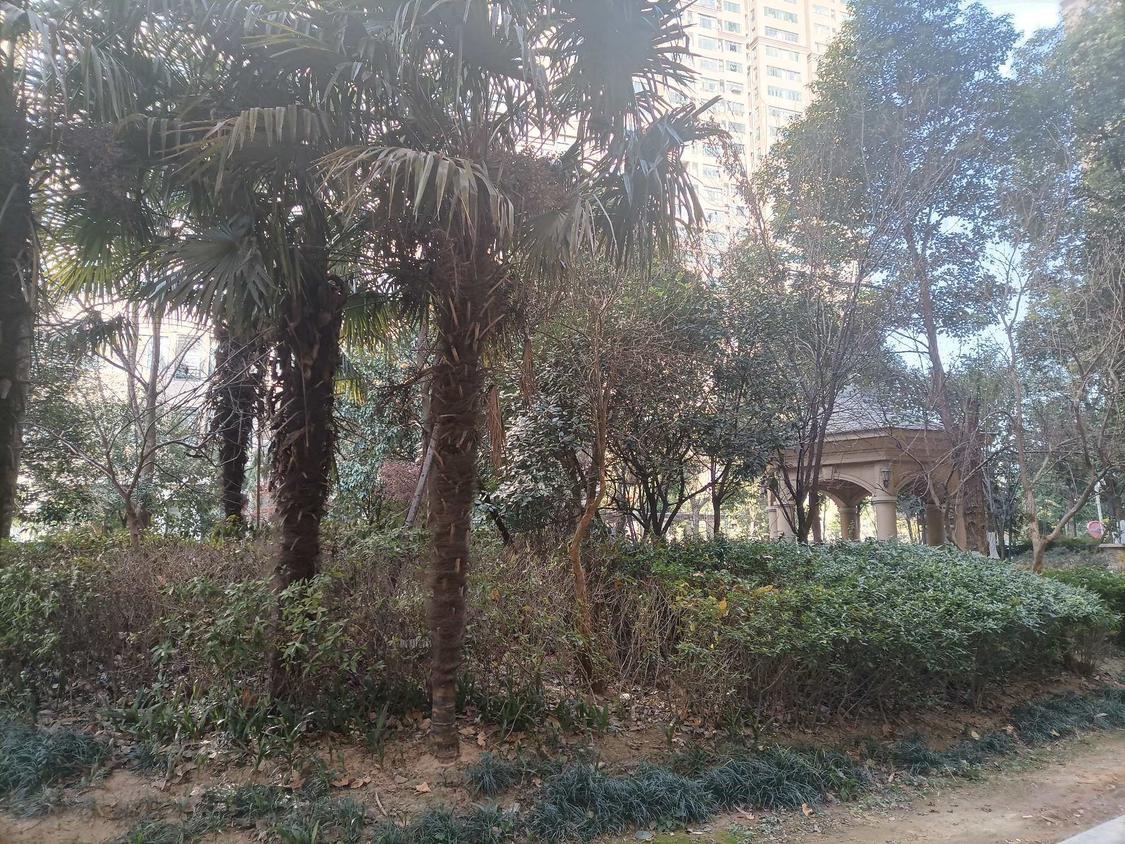 整租·长江尚品