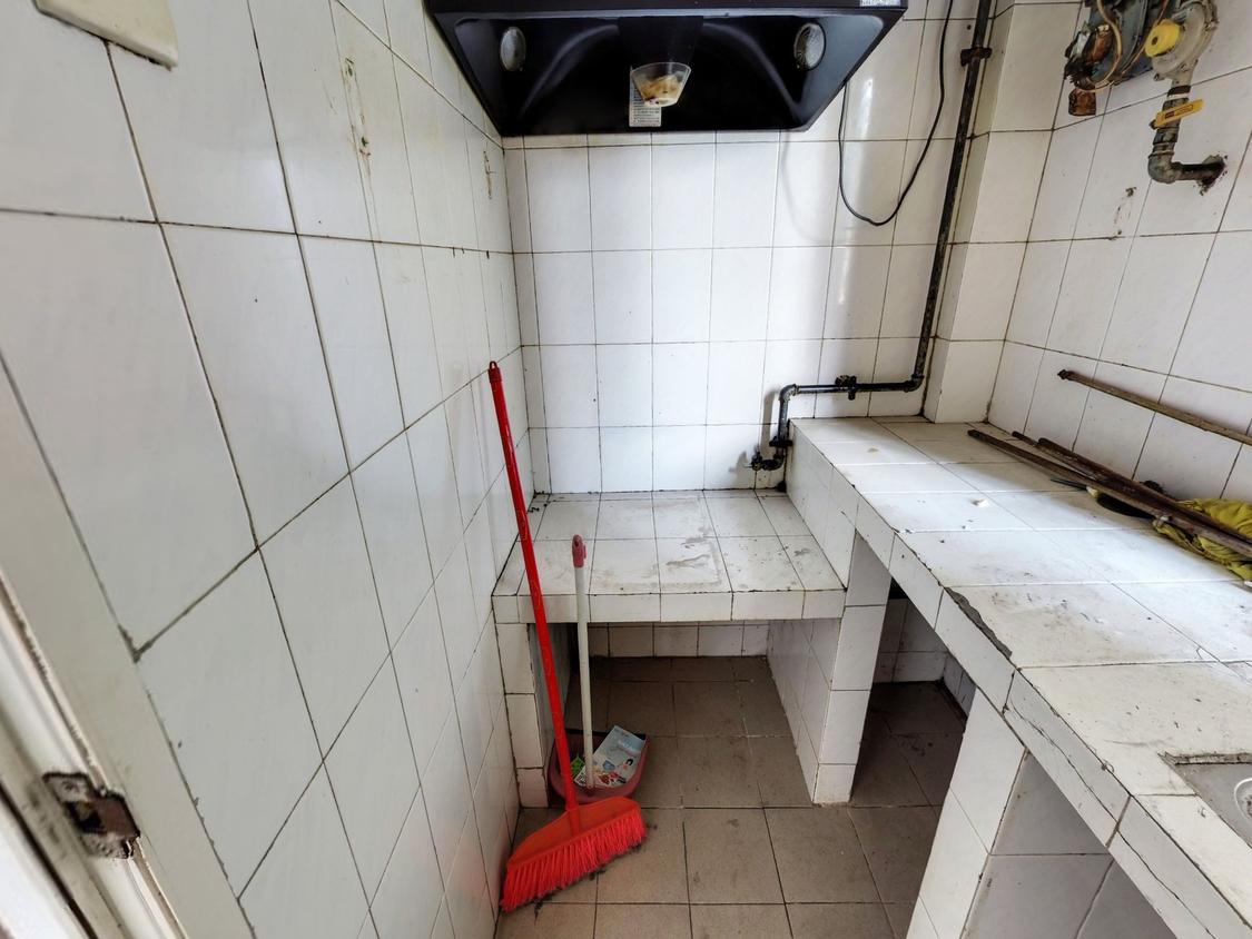 整租·大地花园