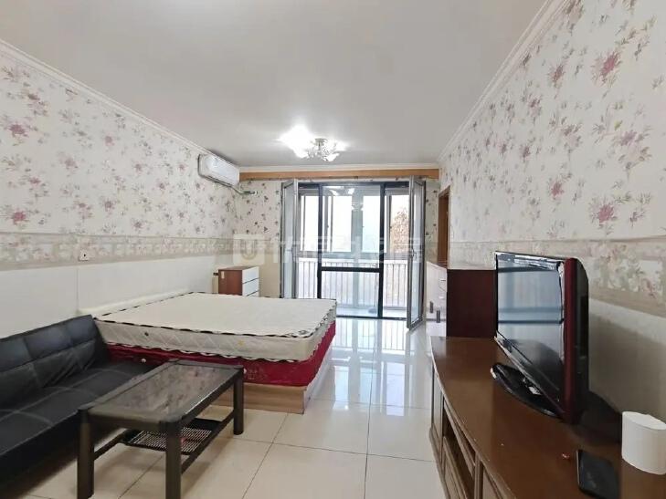 整租·柏林爱乐(二期)