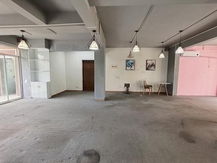青秀东盟商务区整租 汇东逸墅5室3厅/280平/中楼层