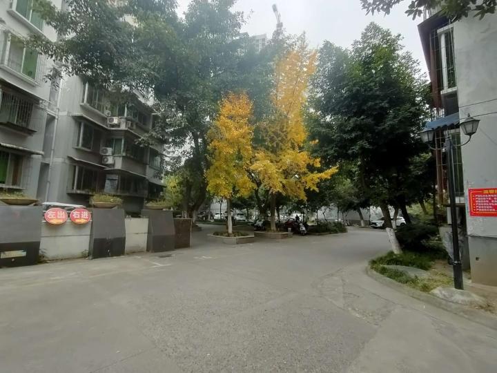 整租·舟山小区