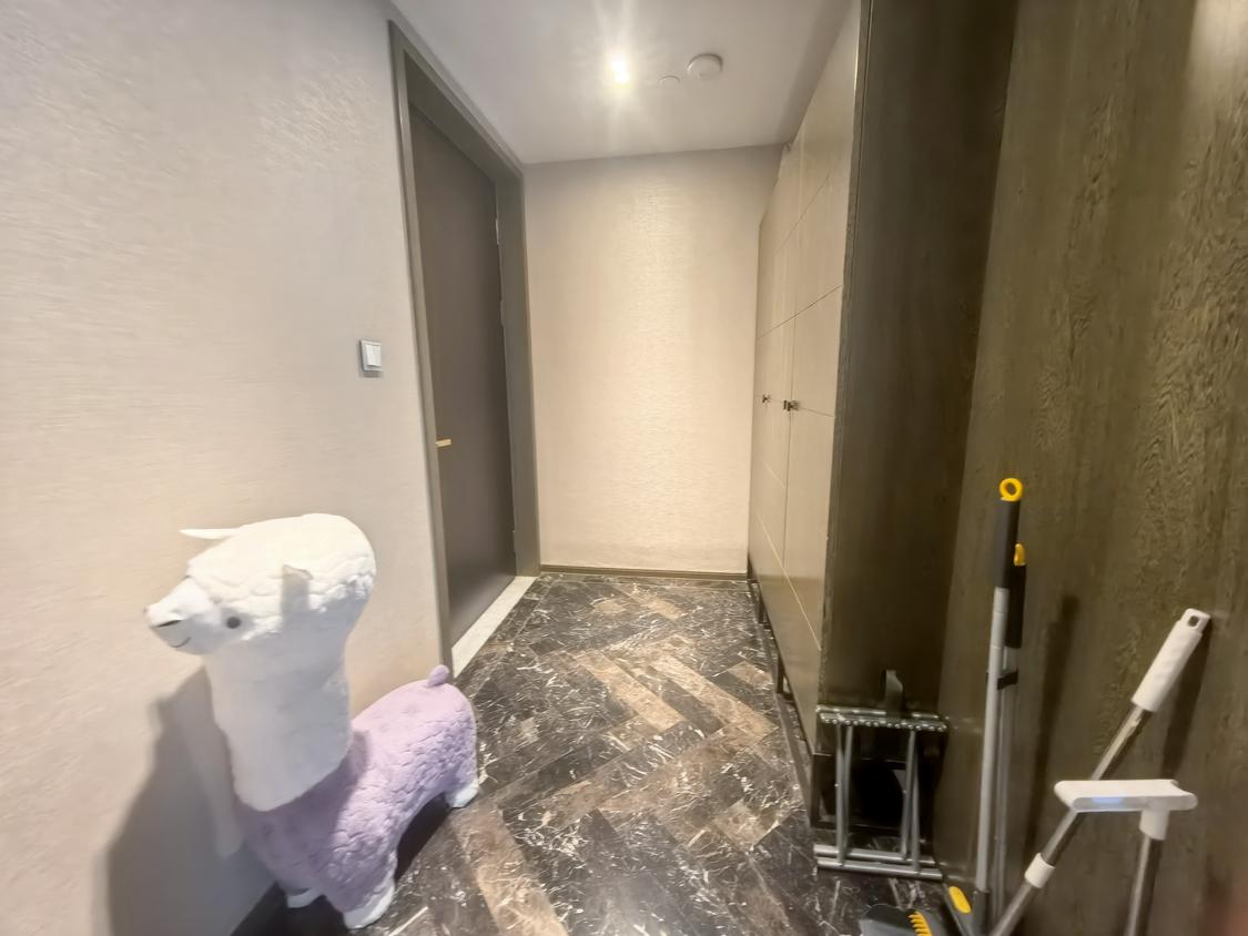 整租·招商津湾天玺