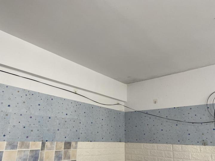 整租·东京湾(自由城)