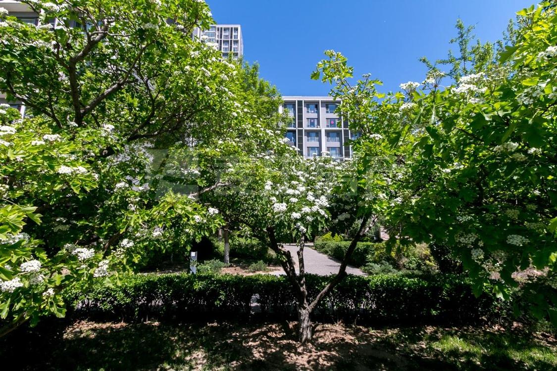 整租·北纬40度(东区)