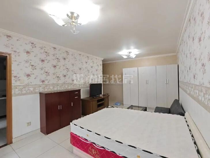 整租·柏林爱乐(二期)