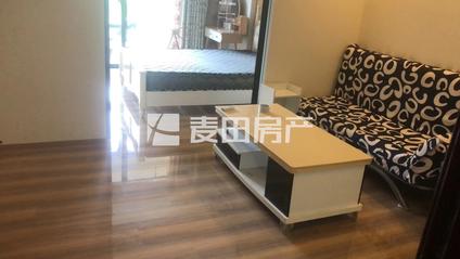 湖里枋湖整租 东晖广场1室1厅/49平/低楼层