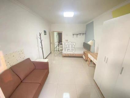 朝阳和平里北整租 和平街十五区(一号院)1室1厅/47平/中楼层