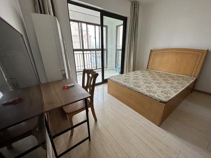 江宁江宁大学城整租 宜家国际公寓3室1厅/90平/高楼层