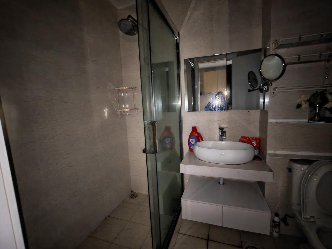 整租·天地凤凰城