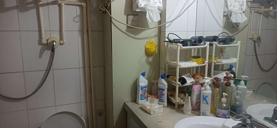 整租·梧桐花园