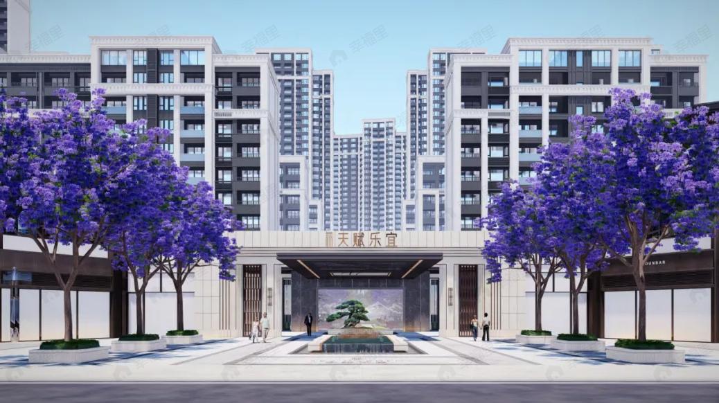 天赋乐宜效果图