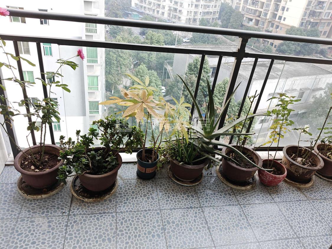 整租·驰华黄金海岸