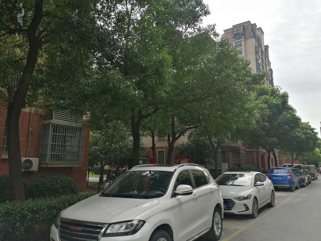 整租·肥东凤凰城