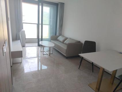 undefined整租·怀德国际广场 1室1厅36㎡ | 西 | 宝安 宝安机场