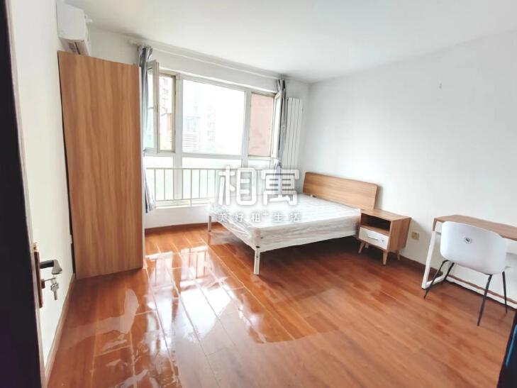 合租·金顶阳光