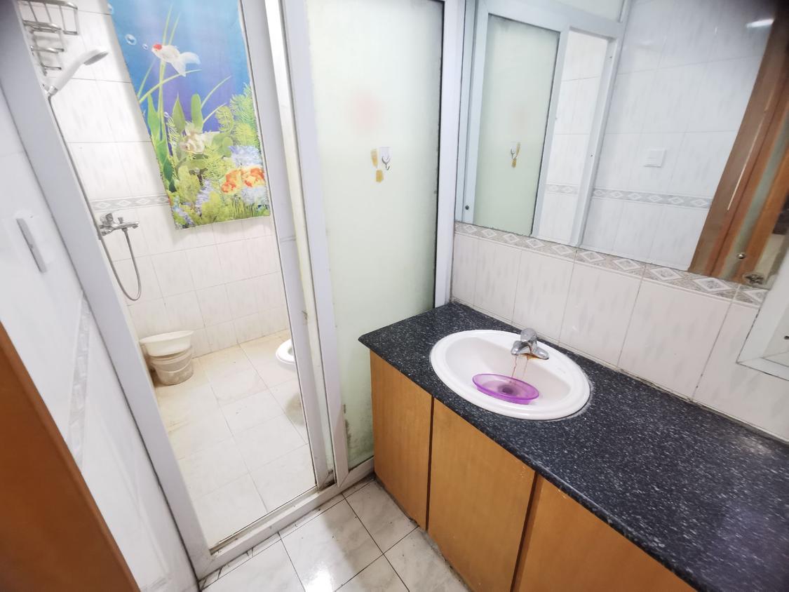 整租·东新南路