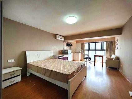 江宁江宁大学城整租 天正天御溪岸1室1厅/30平/高楼层