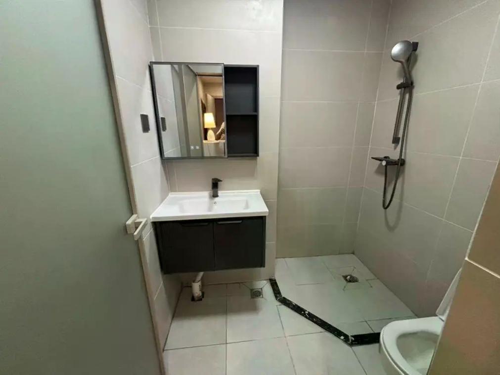 整租·轻铁东小区