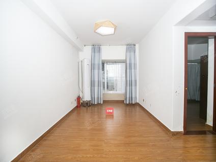 南山南头整租 海岸时代公寓1室2厅/50平/低楼层