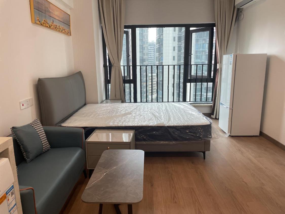 整租·龙湖光年