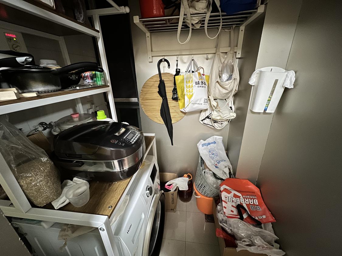 整租·华侨城(二期江栀路500弄）