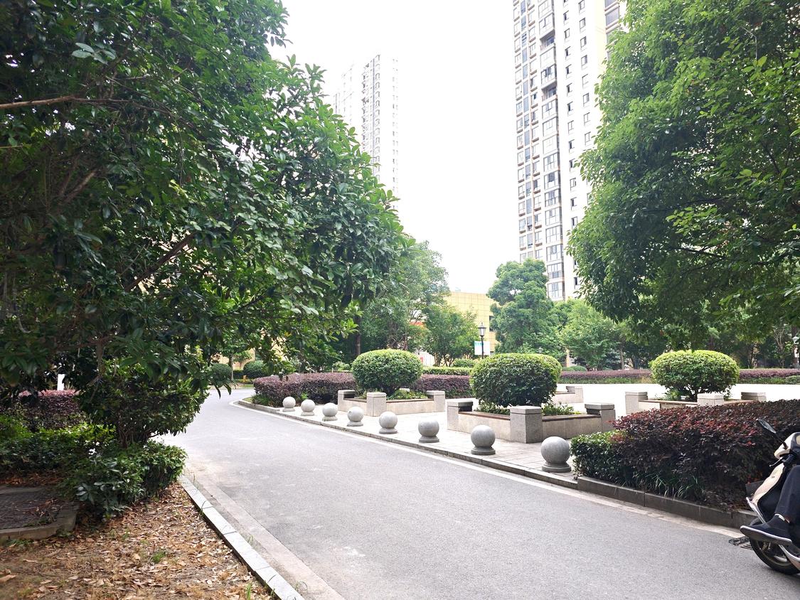 整租·楚天都市诚园
