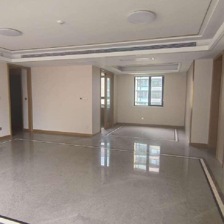 整租·龙湖天璞