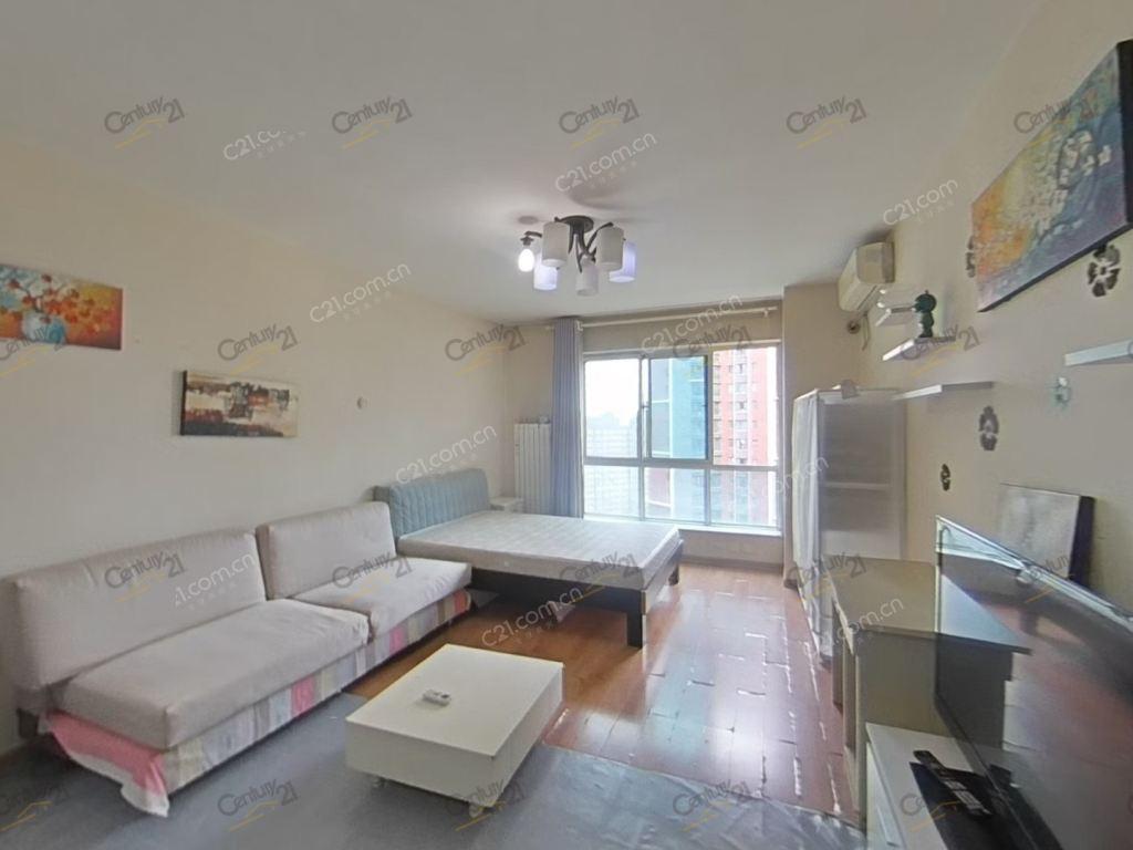 整租·鑫龙橄榄国际