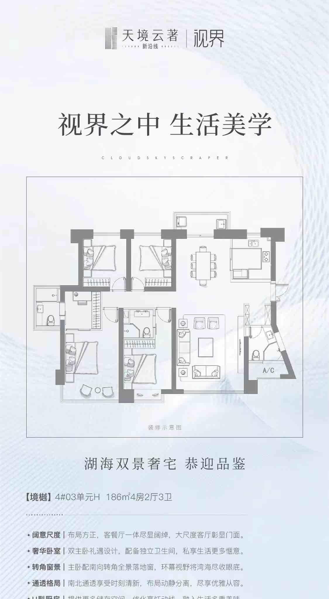 整租·天境云著