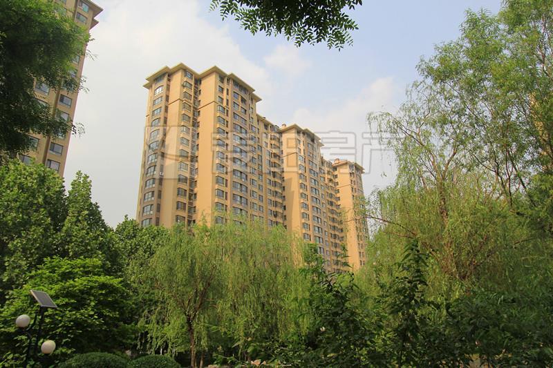 整租·保利百合花园