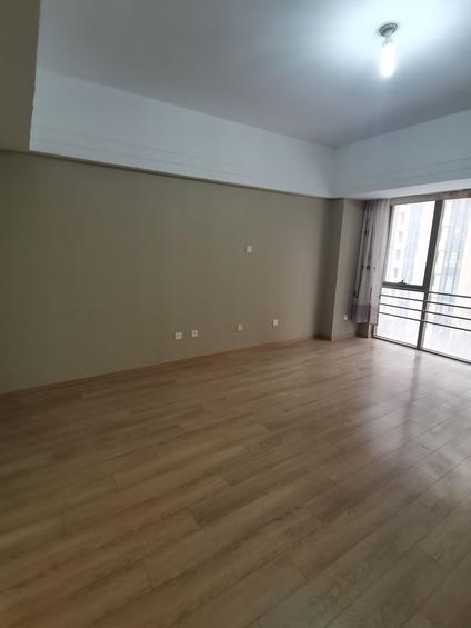 undefined整租·园博派·1室1厅50㎡ | 北 | 丰台 卢沟桥