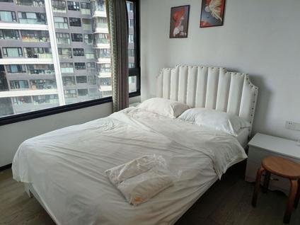 龙湖东海岸整租 合群天合名轩2室2厅/50平/中楼层