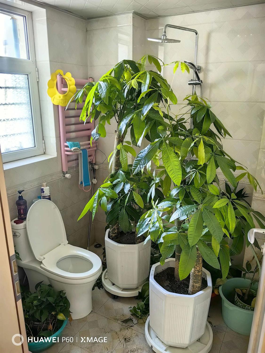 整租·宁瑞水乡