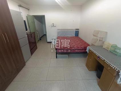 河西挂甲寺整租 前程里(河西)1室1厅/34平/中楼层