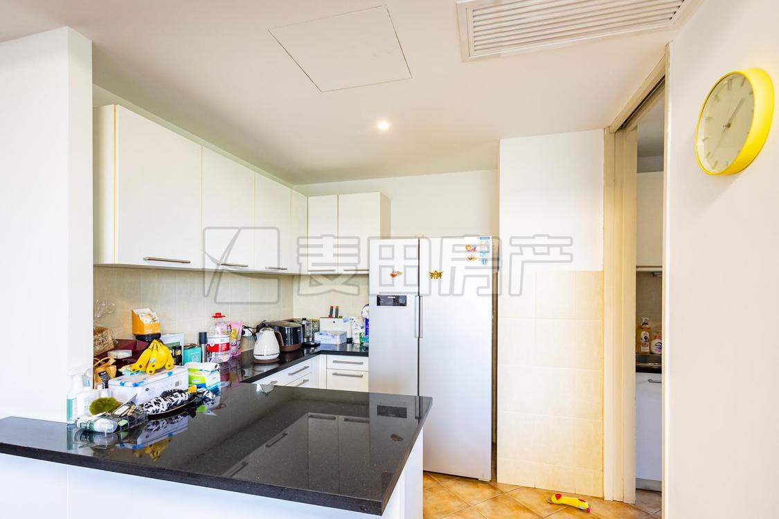 整租·公园大道