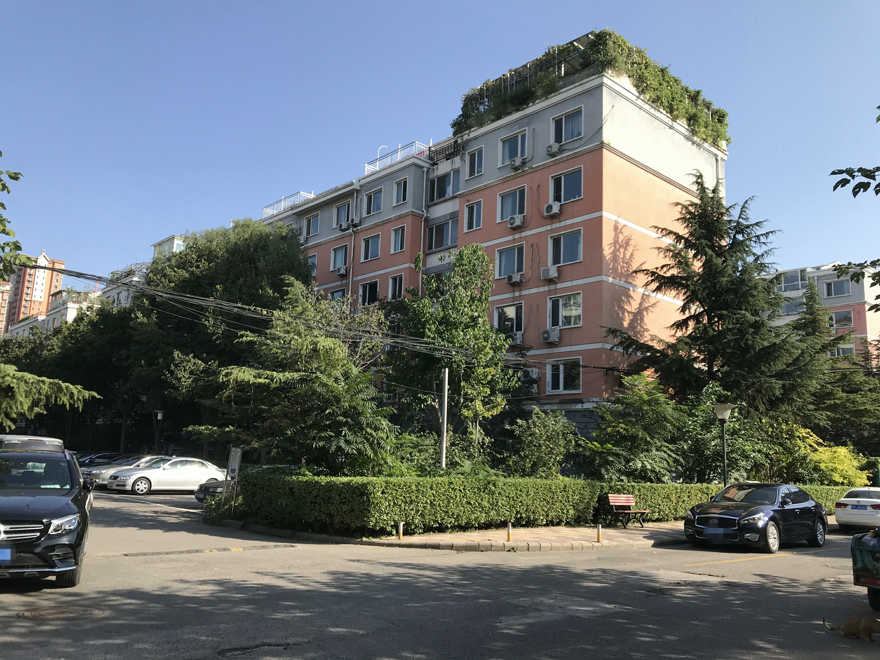 户型多样,环境整洁丽园a区内部既有板楼也有别墅,户型多种