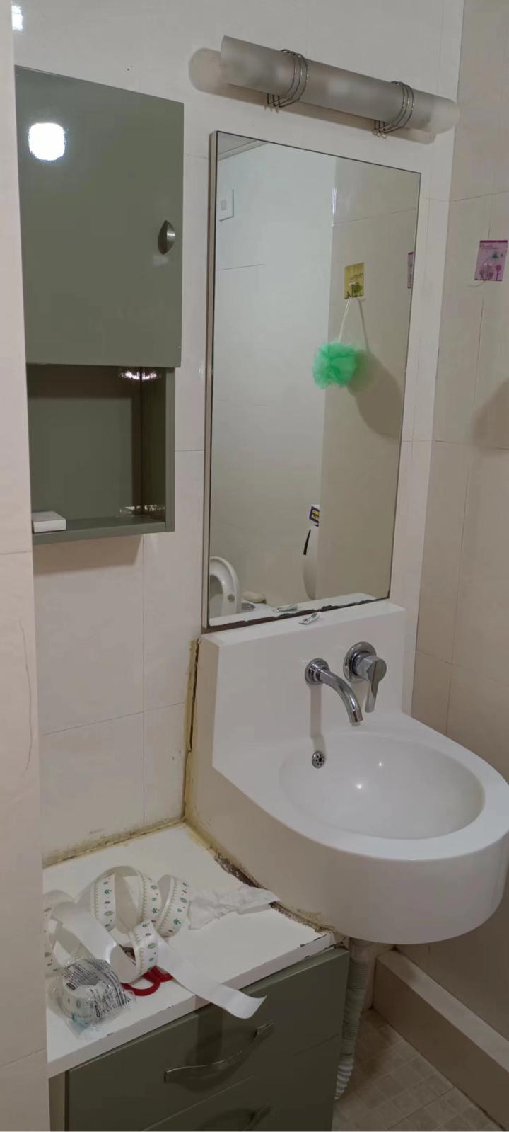 整租·东京湾(自由城)