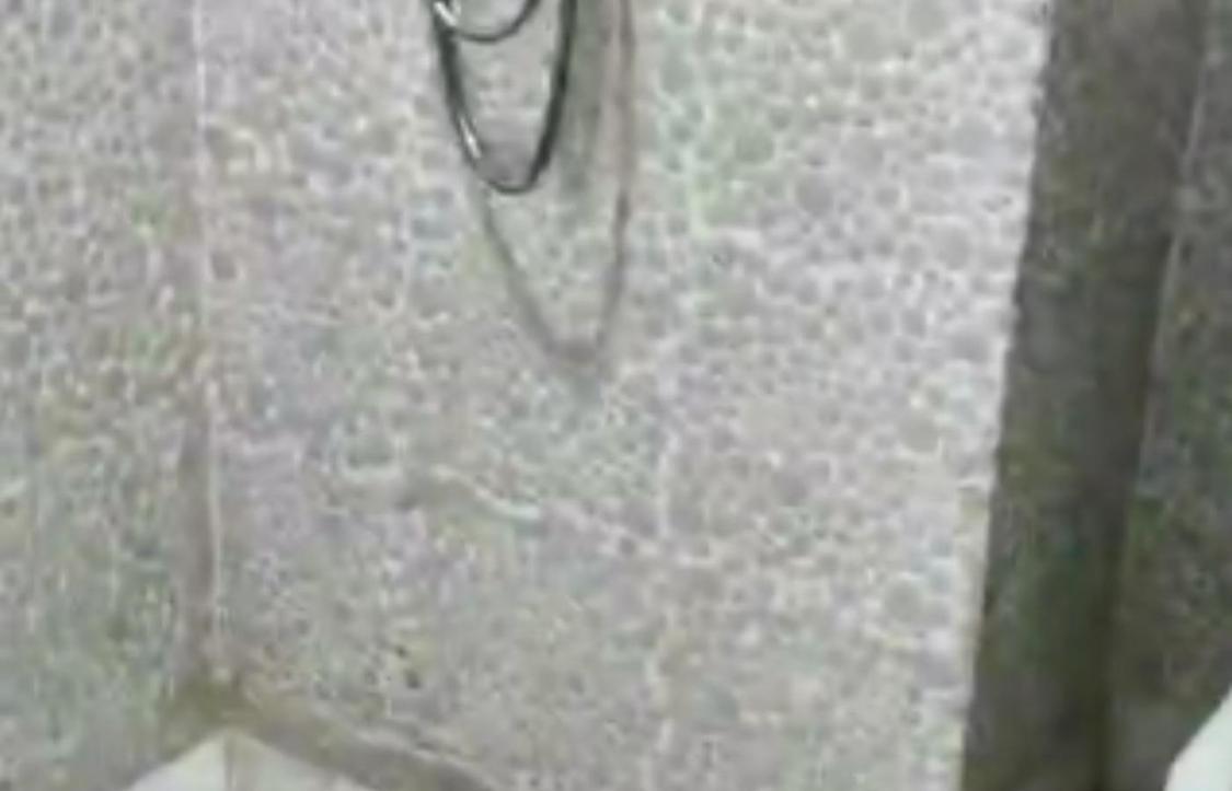 整租·嘉鹏香醍25度