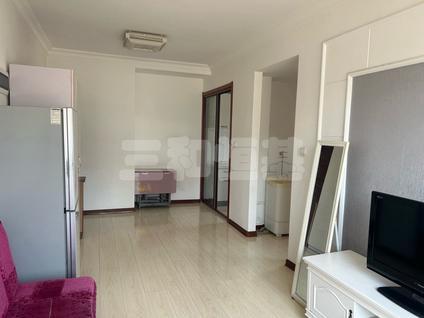 普兰店丰荣整租 白领公寓1室1厅/52平/低楼层