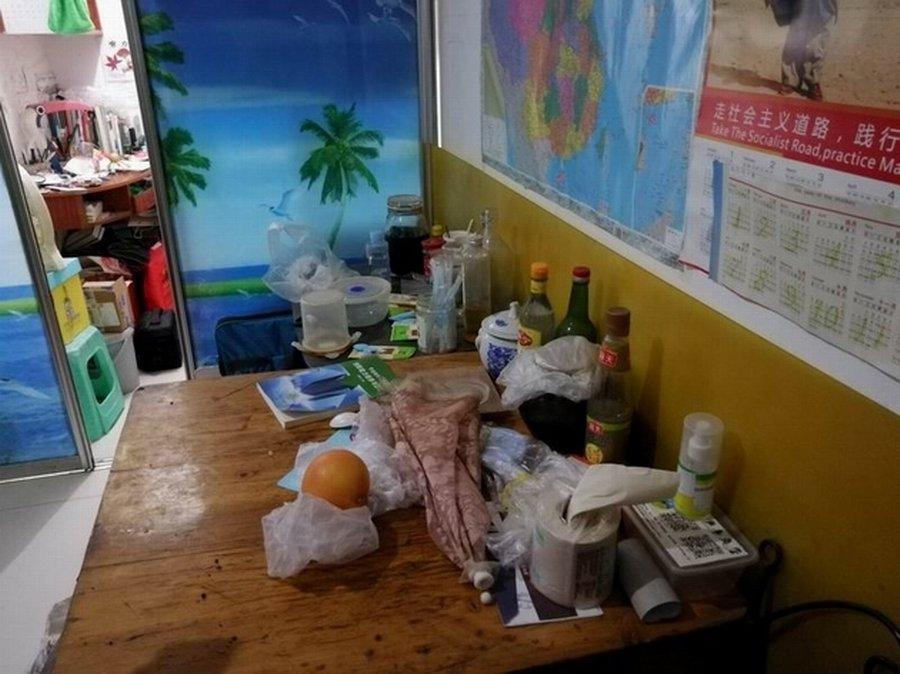整租·嘉新桃花里