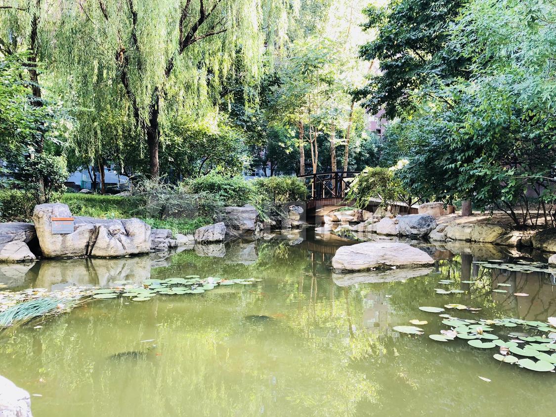 整租·融科橄榄城(二期)