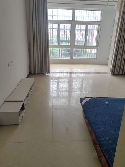 阜南阜南整租 金厦华庭2室1厅/100平/低楼层