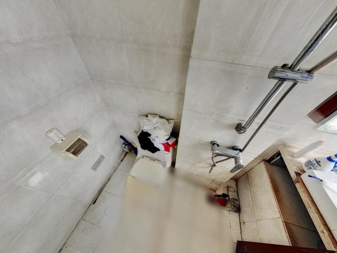 整租·水畔紫云阁