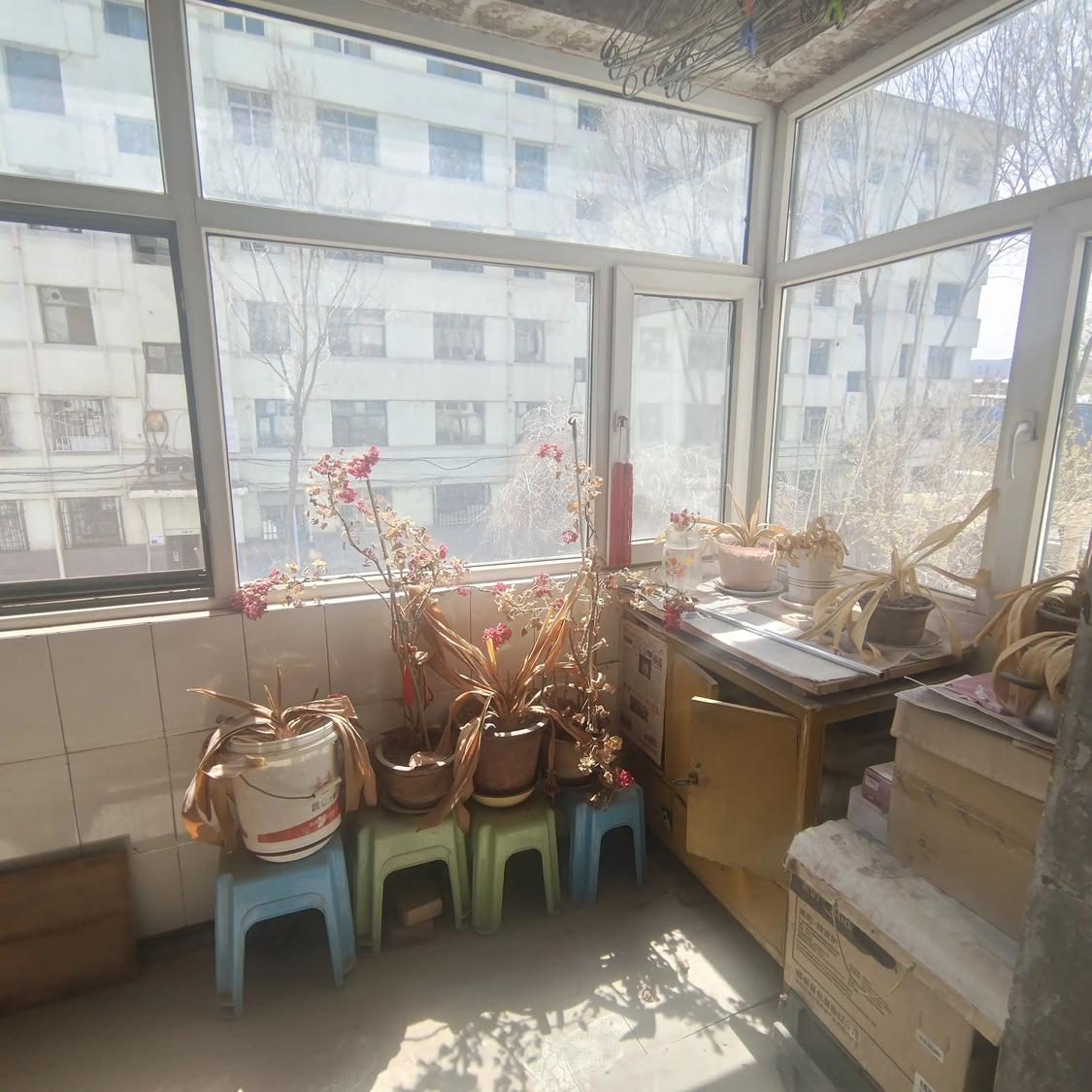 整租·朝阳地质小区