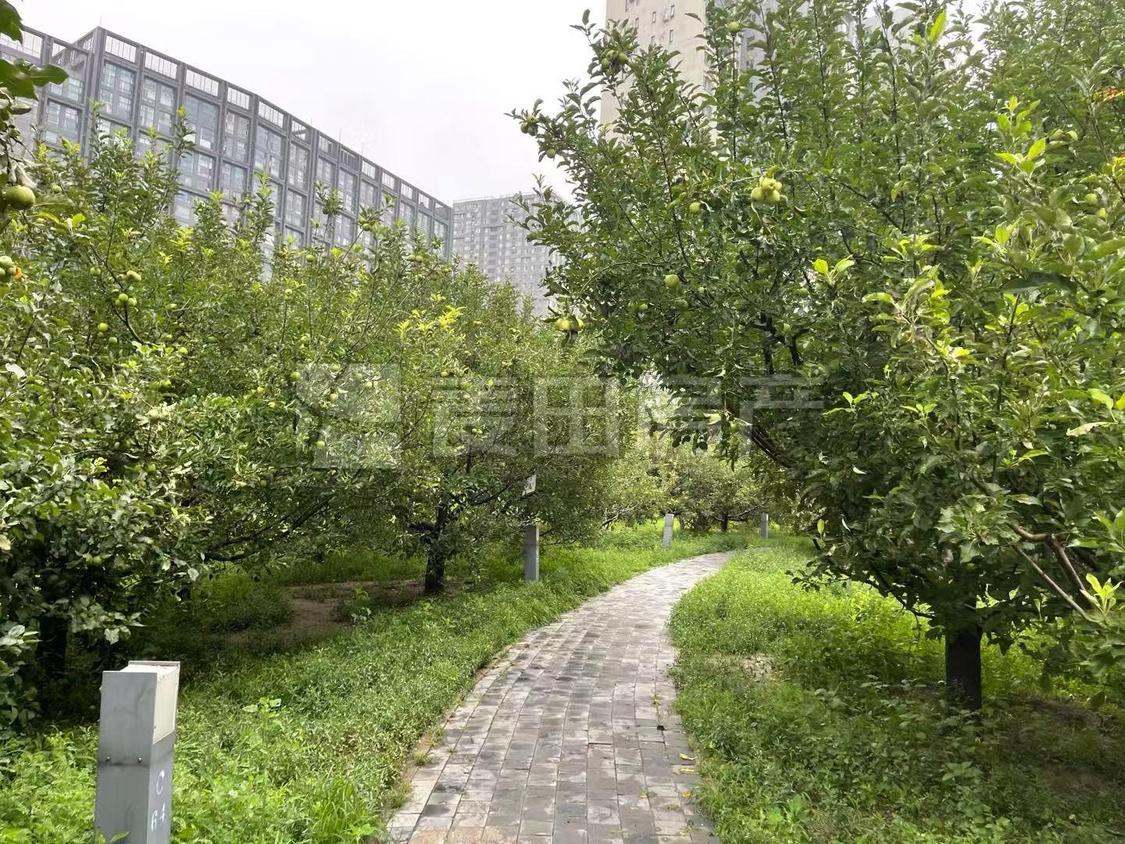 整租·苹果社区(南区)