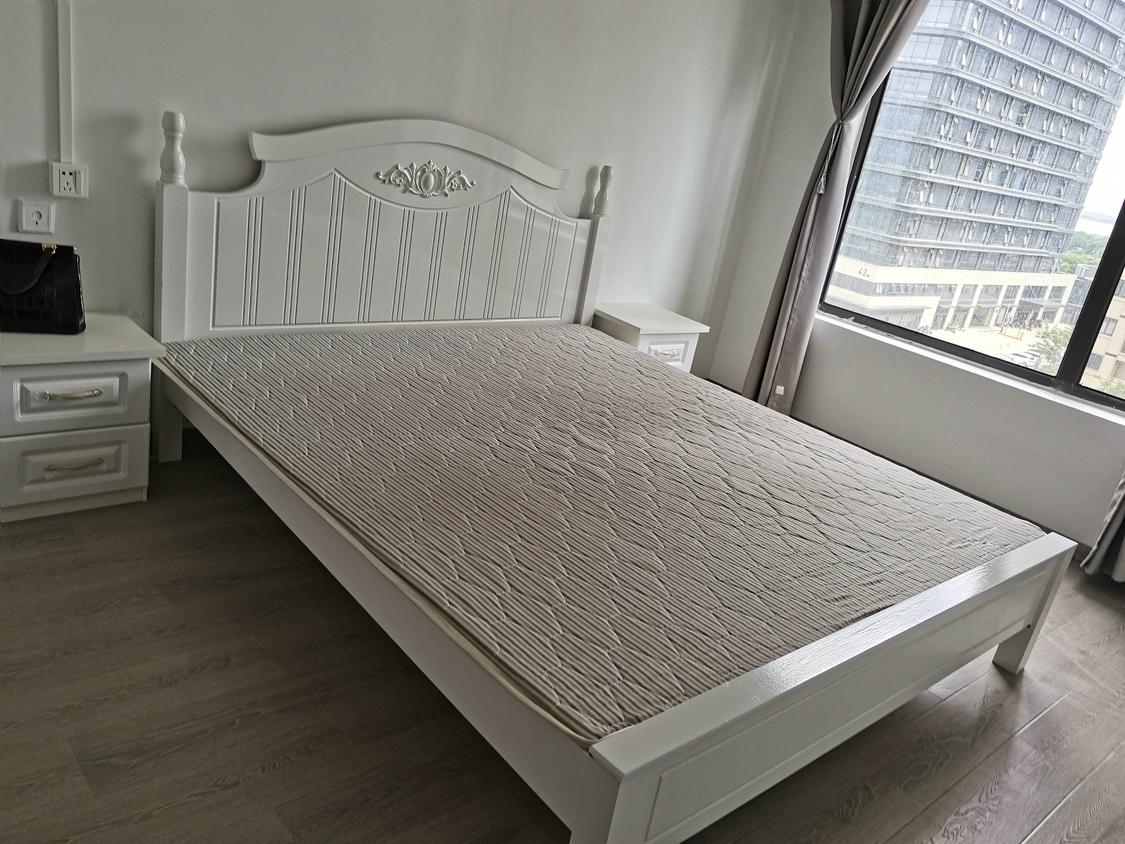 整租·龙湖舜海府