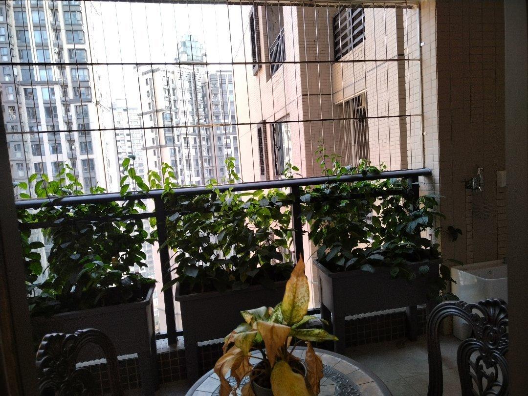 整租·方直珑湖湾