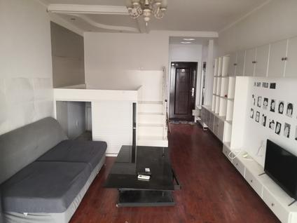 牡丹立交桥整租 龙翔中央公馆1室1厅/50平/顶层