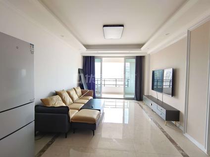 龙马潭龙马潭整租 鸿通珑湖半岛3室2厅/89平/高楼层