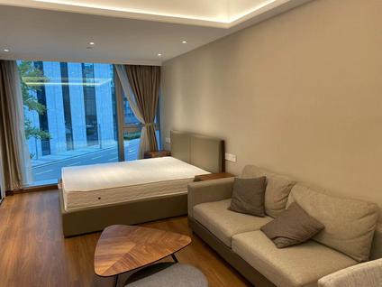 闵行华漕整租 中骏广场1室1厅/45平/低楼层